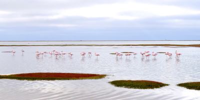 Una striscia di schiuma rosa Un ricordo