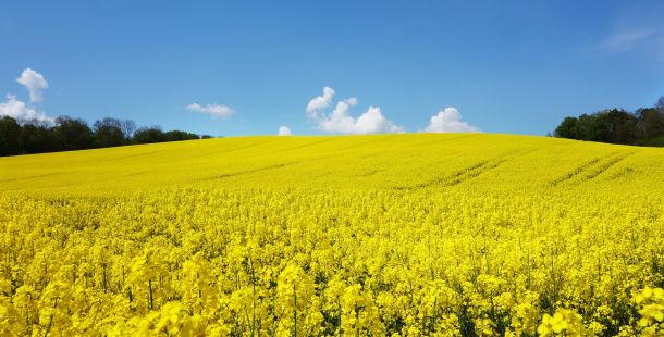 il futuro umano è mistico o non è