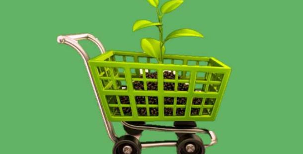 green-public-procurement