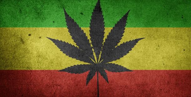 marijuana cannabis