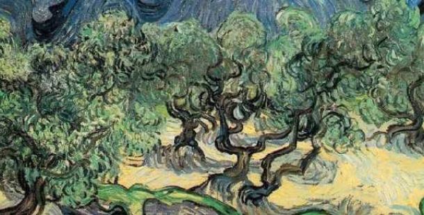 ulivo-Van-Gogh
