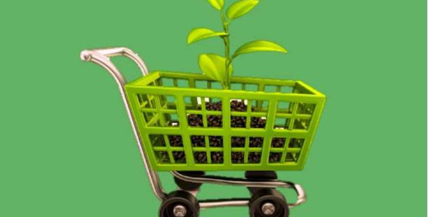 green-public-procurement