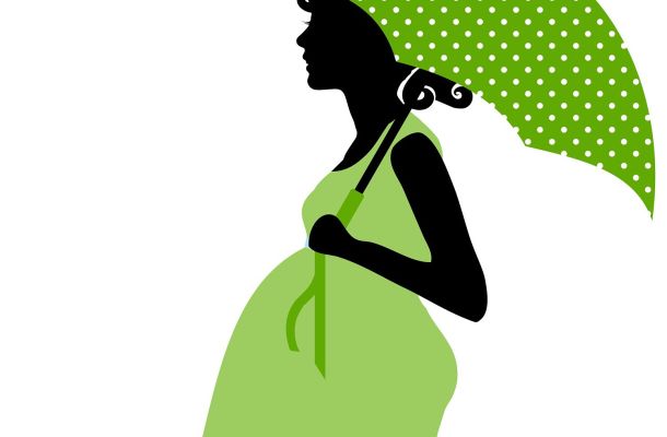 le storie di costanza alla ricerca della volpe verde incognite