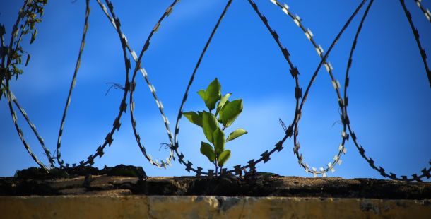 Le voci da dentro. Lettera aperta al Direttore della Direzione Generale dei detenuti e del trattamento
