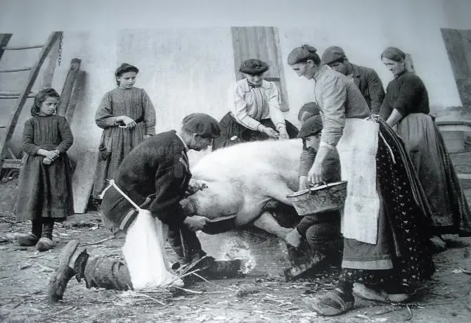 Parole a capo / Luigi Balocchi: "Som nassuu" e altre poesie
