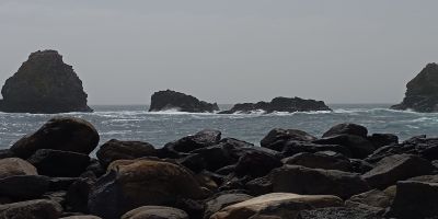 Vite di carta, Un tempo i Malavoglia