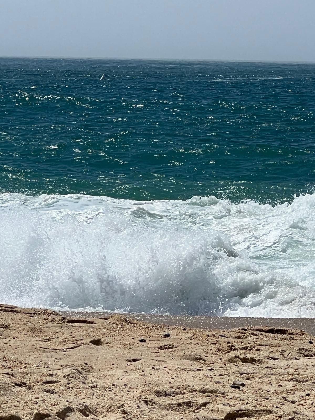 Sarai un sufi o non sarai nessuno