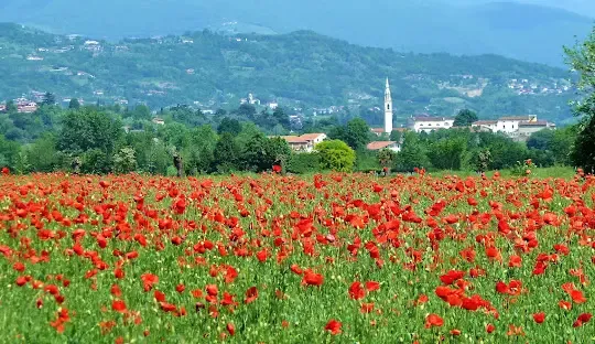 Lettera: a Colceresa (Vicenza) un fabbricone minaccia la nostra acqua e l'ambiente