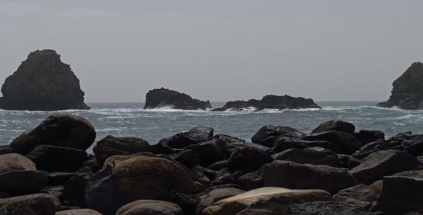 Vite di carta, Un tempo i Malavoglia