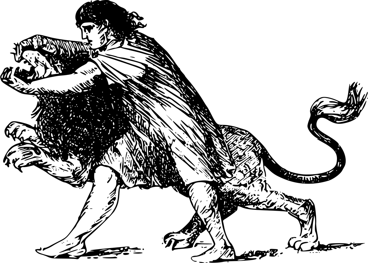 Mi serve il tuo fianco ossuto