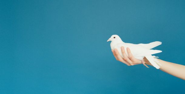 Gli italiani contro la guerra e l’invio di armi all’Ucraina