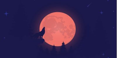 Per certi Versi / Il verso del lupo