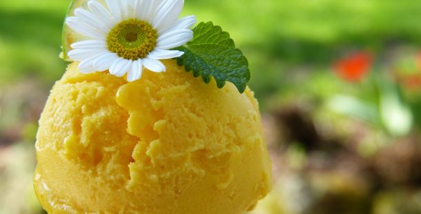le storie di costanza. l'anima e il gelato