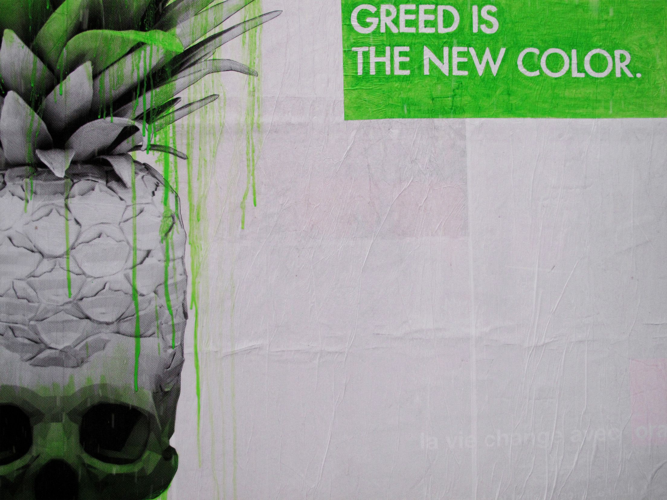 Lasciamo stare la legge della giungla: è l'avidità umana a governare il mondo