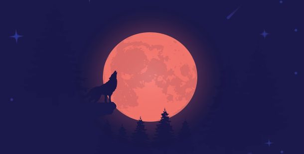 Per certi Versi / Il verso del lupo