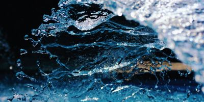 Per certi Versi / Tra carne e immagine