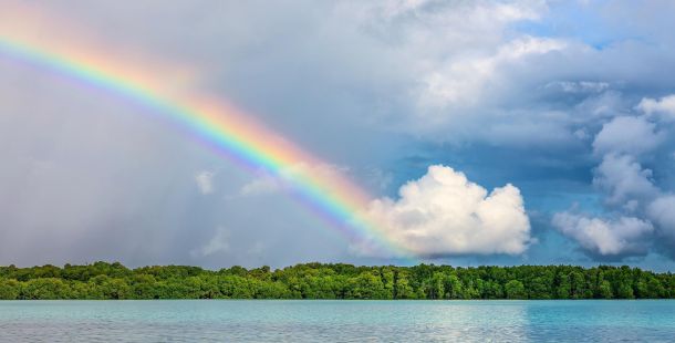 La natura geniale exaptation e plasticità in un mondo che cambia