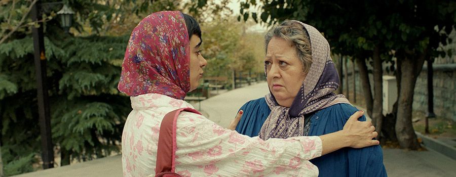 il mio giardino persiano. omaggio a Mahsa Amini e a tutte le donne iraniane