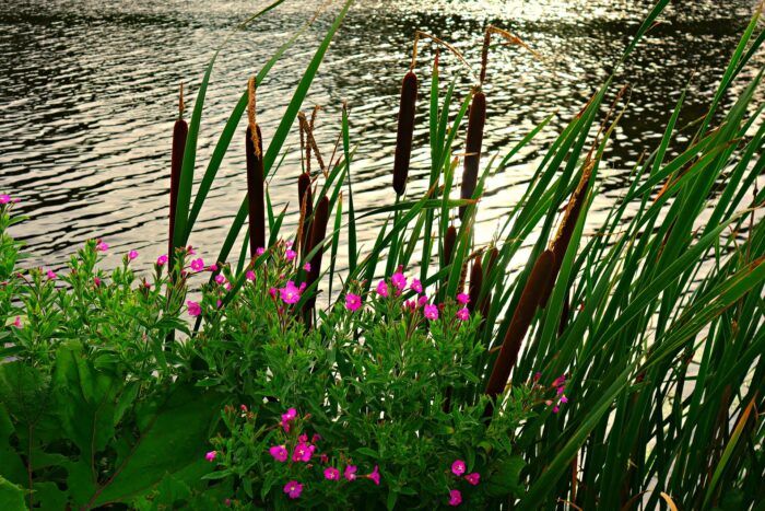 le storie di costanza. agosto 2062