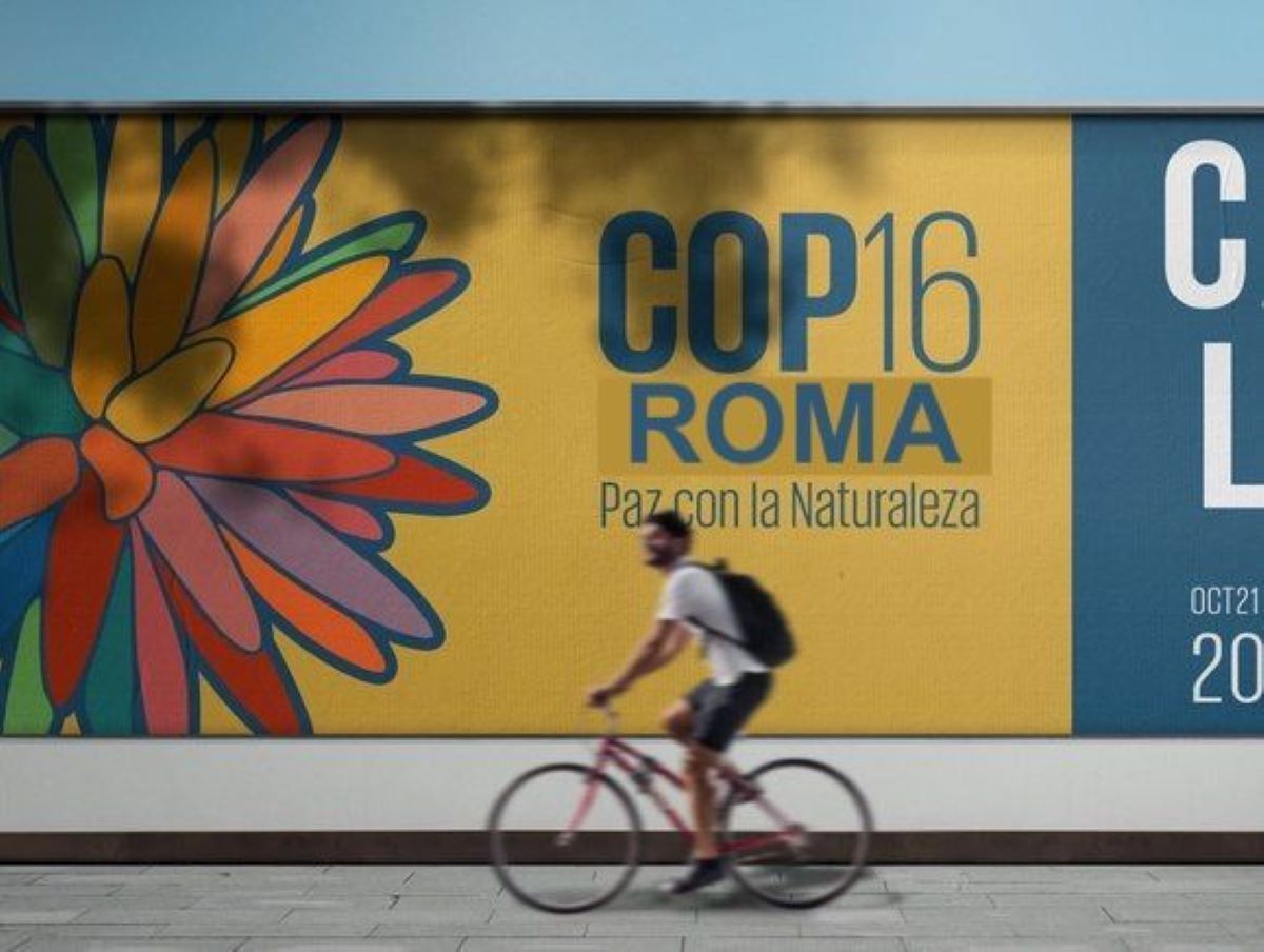 I SUPPLEMENTARI DELLA COP16 SULLA BIODIVERSITA’ e LA GIORNATA MONDIALE DELL’ACQUA