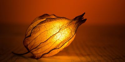 Presto di mattina luce gentile