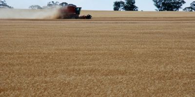 Trent’anni di Ogm: promesse incompiute e inquinamento