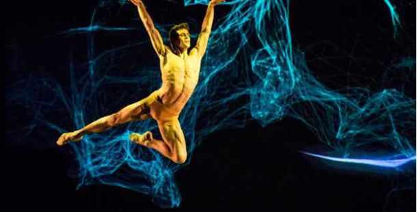 roberto-bolle