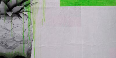 Lasciamo stare la legge della giungla: è l'avidità umana a governare il mondo