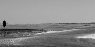 seggi-deserti-politica-spoglia