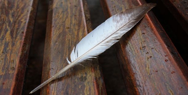 L’innocenza di peccare