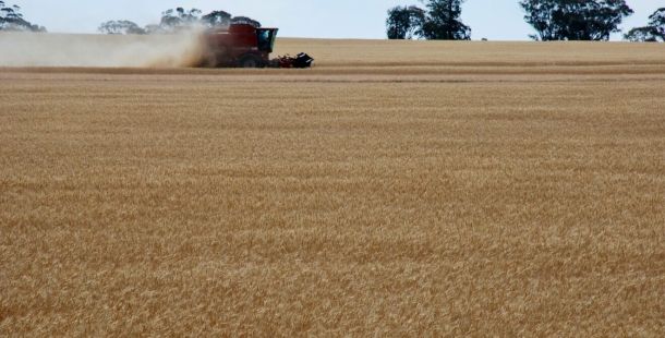 Trent’anni di Ogm: promesse incompiute e inquinamento