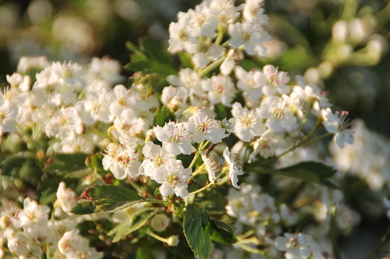 parole a capo. Paola Di Toro maternità e altre poesie