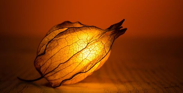 Presto di mattina luce gentile