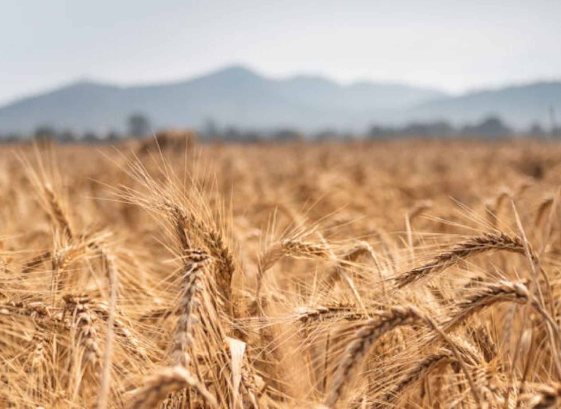 Mercosur, qualche luce e molte ombre