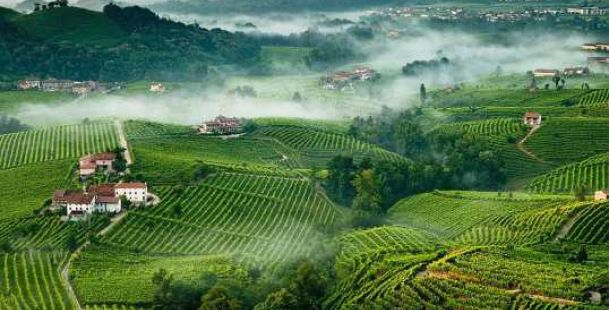 prosecco