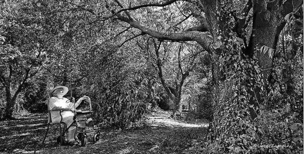 Carolina-Marisa-Occari-pittrice-Po-albero-Casa-ariosto-ferrara