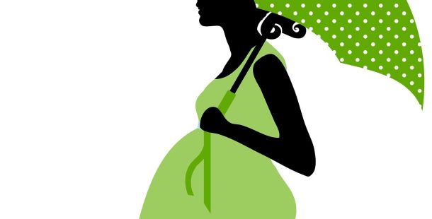 le storie di costanza alla ricerca della volpe verde incognite