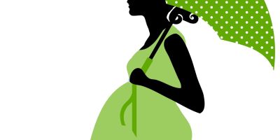 le storie di costanza alla ricerca della volpe verde incognite