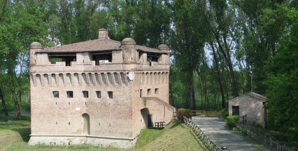 sagra-anitra-stellata