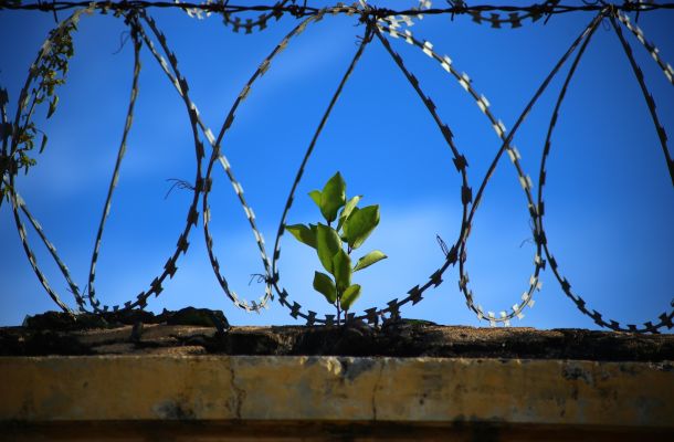 Le voci da dentro. Lettera aperta al Direttore della Direzione Generale dei detenuti e del trattamento