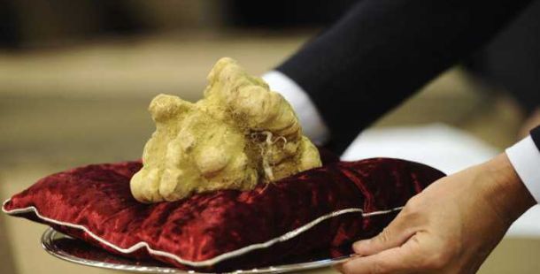 tartufo-bianco-alba