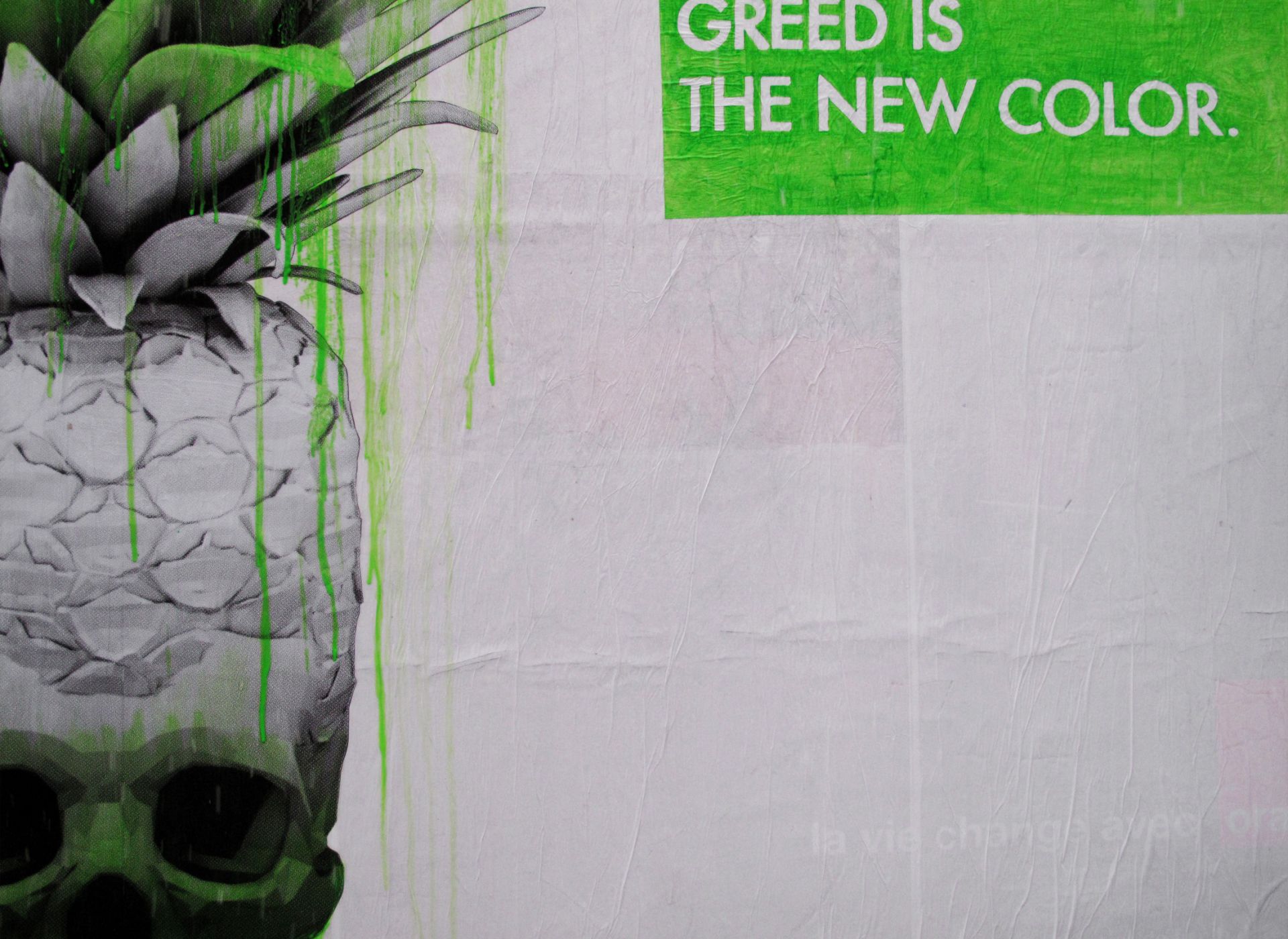 Lasciamo stare la legge della giungla: è l'avidità umana a governare il mondo