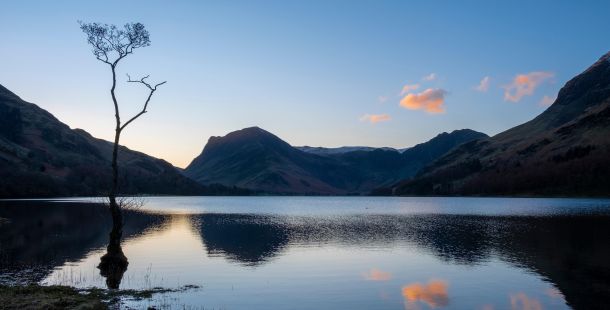 Presto di mattina: Andrea Zerbini, il rabdomante della Parola