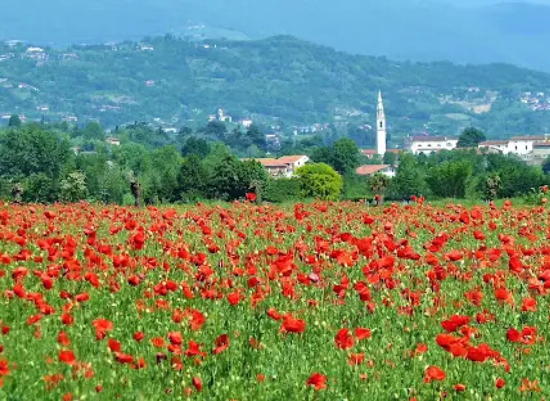 Lettera: a Colceresa (Vicenza) un fabbricone minaccia la nostra acqua e l'ambiente