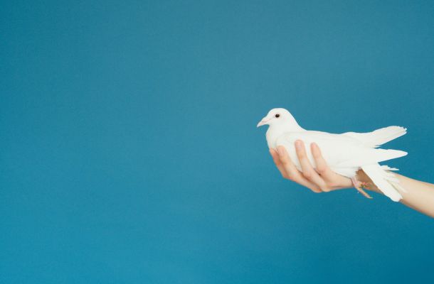 Gli italiani contro la guerra e l’invio di armi all’Ucraina