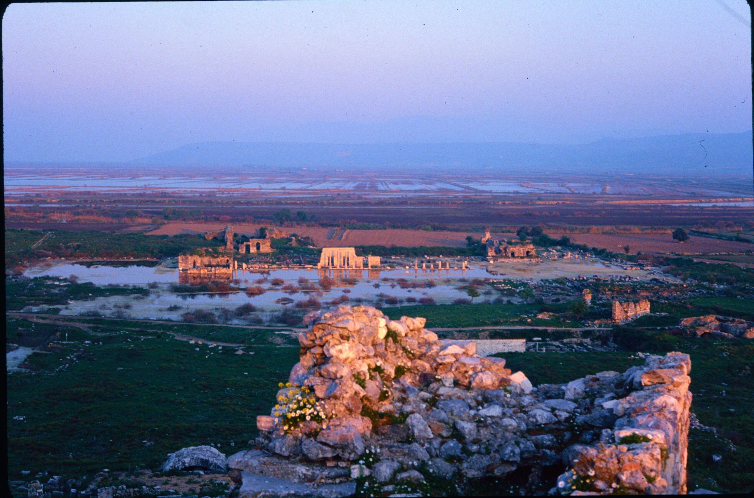 quella cosa chiamata città. Mileto 1982