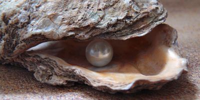 Presto di mattina. L'umanità in tempi bui