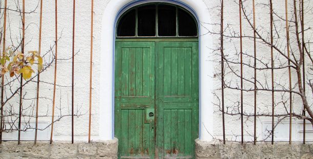 Le storie di Costanza. Alla caccia della volpe verde. Il civico 21