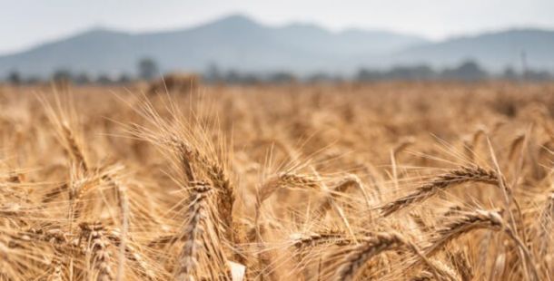 Mercosur, qualche luce e molte ombre