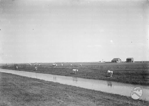 La montagna di Onorato